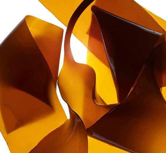 Laminaria-Estratto di laminaria-Laminaria digitata extract