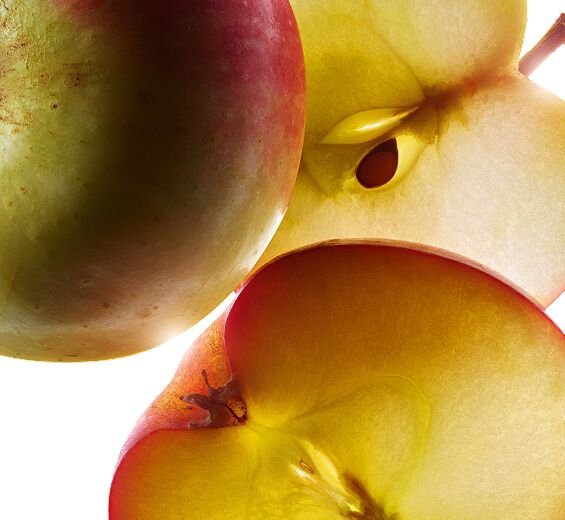 Melo-Estratto di mela bio-Malus Domestica Fruit Extract