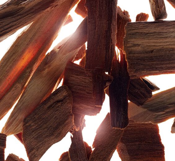 Sandalo-Olio essenziale di sandalo-Santalum album (sandalwood) oil