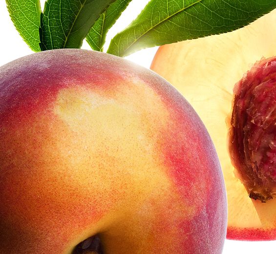 Pesco-Latte di pesco-Prunus persica (peach) leaf extract