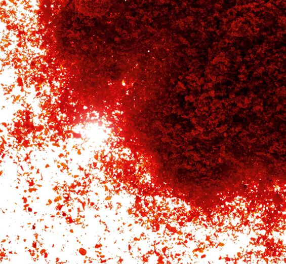 Paprika-Estratto di paprika-Capsicum annuum fruit extract