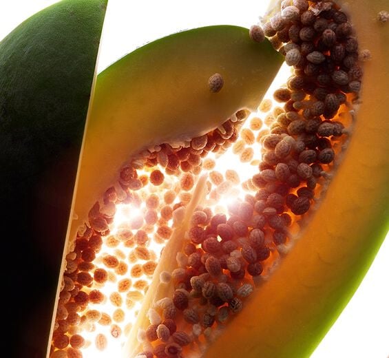 Papaya-Papaina stabilizzata-undefined