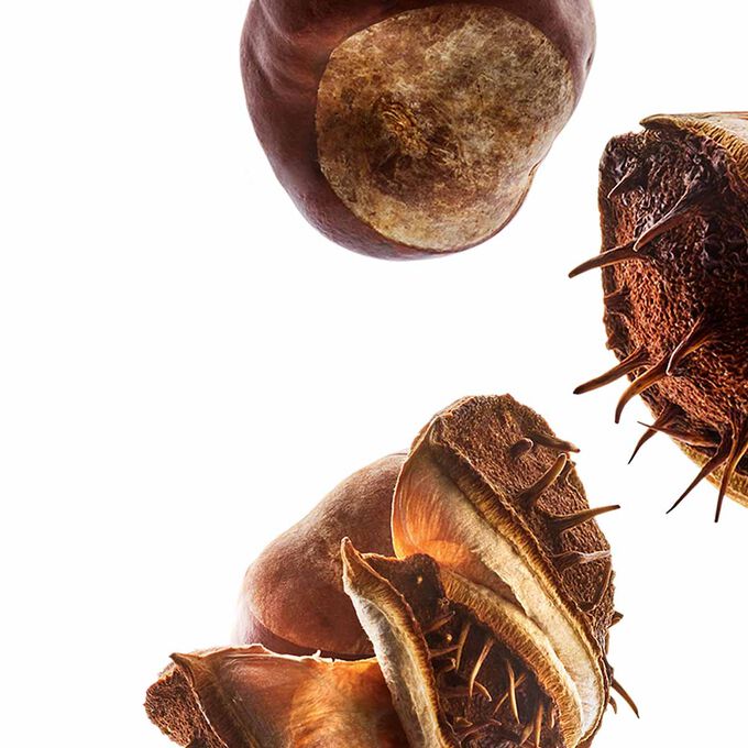 Nutri-Lumière Giorno