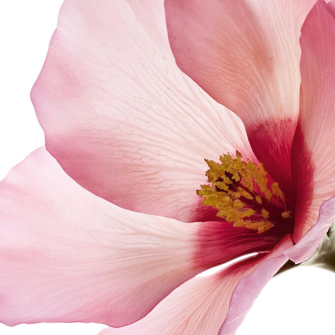 Benefici di PURE-RESET Gel satinato anti-imperfezioni sulle imperfezioni