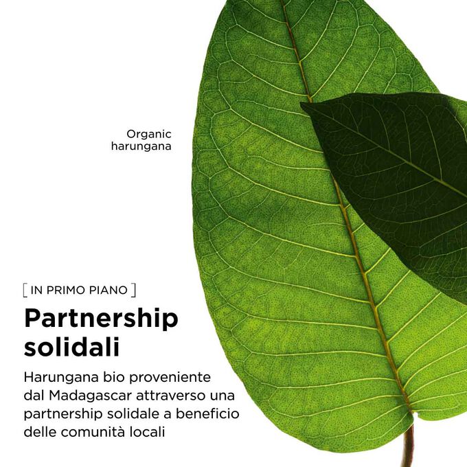 Approvvigionamento responsabile di estratti vegetali bio per il nostro siero rimodellante e il siero anti-macchie, a sostegno delle comunit&agrave;.