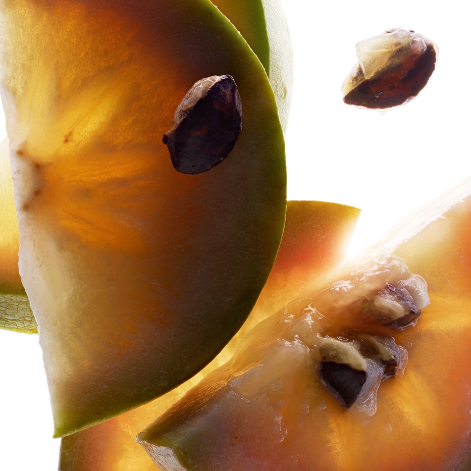 Cainito-Estratto di vu sua-Chrysophyllum cainito fruit extract