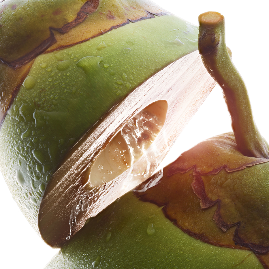 Albero del cocco-Acqua di cocco bio-Cocos nucifera (coconut) fruit juice