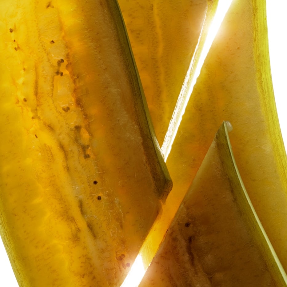 Banano-Estratto di banana verde bio-Musa sapientum (banana) fruit extract