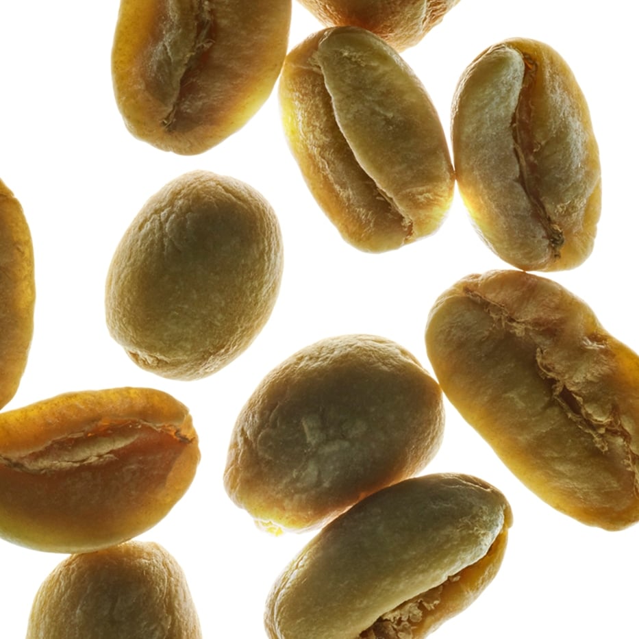 Albero del caffè arabica-Caffeina vegetale-Caffeine