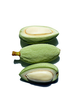 olio di mandorlo