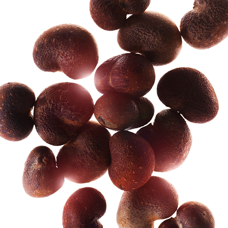 Baobab-Estratto di baobab-Hydrolyzed adansonia digitata extract