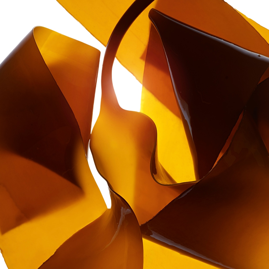 Laminaria-Estratto di laminaria-Laminaria digitata extract