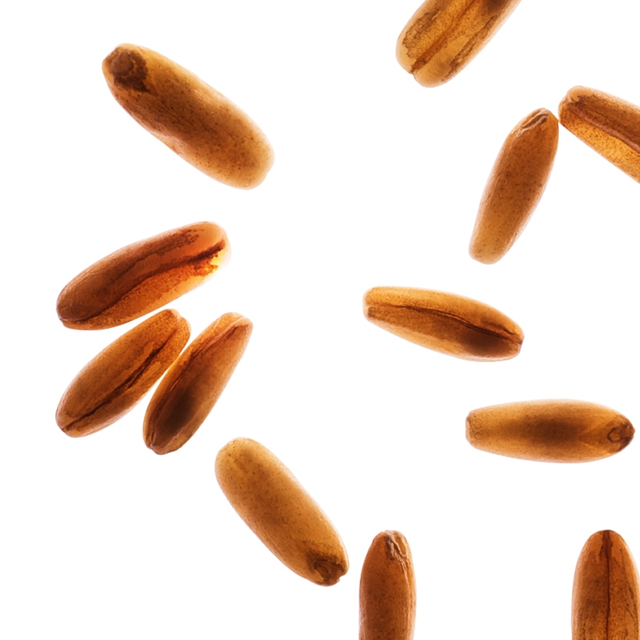 Avena-Zuccheri d’avena bio-Avena sativa (oat) kernel extract