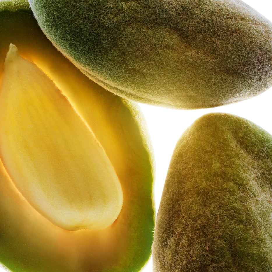 Mandorlo-Olio di mandorla dolce bio-Prunus amygdalus dulcis (sweet almond) oil