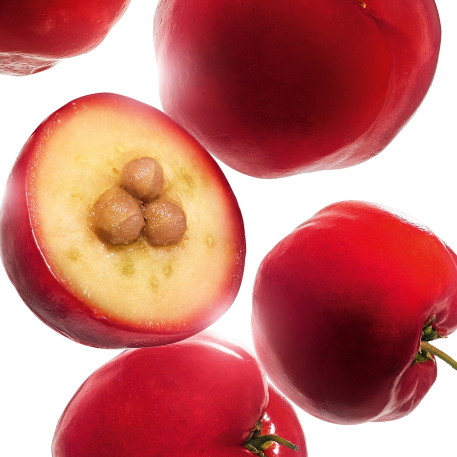 Acerola-Estratto di acerola-Malpighia emarginata (acerola)