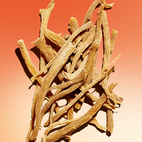 Ginseng rosso biologico