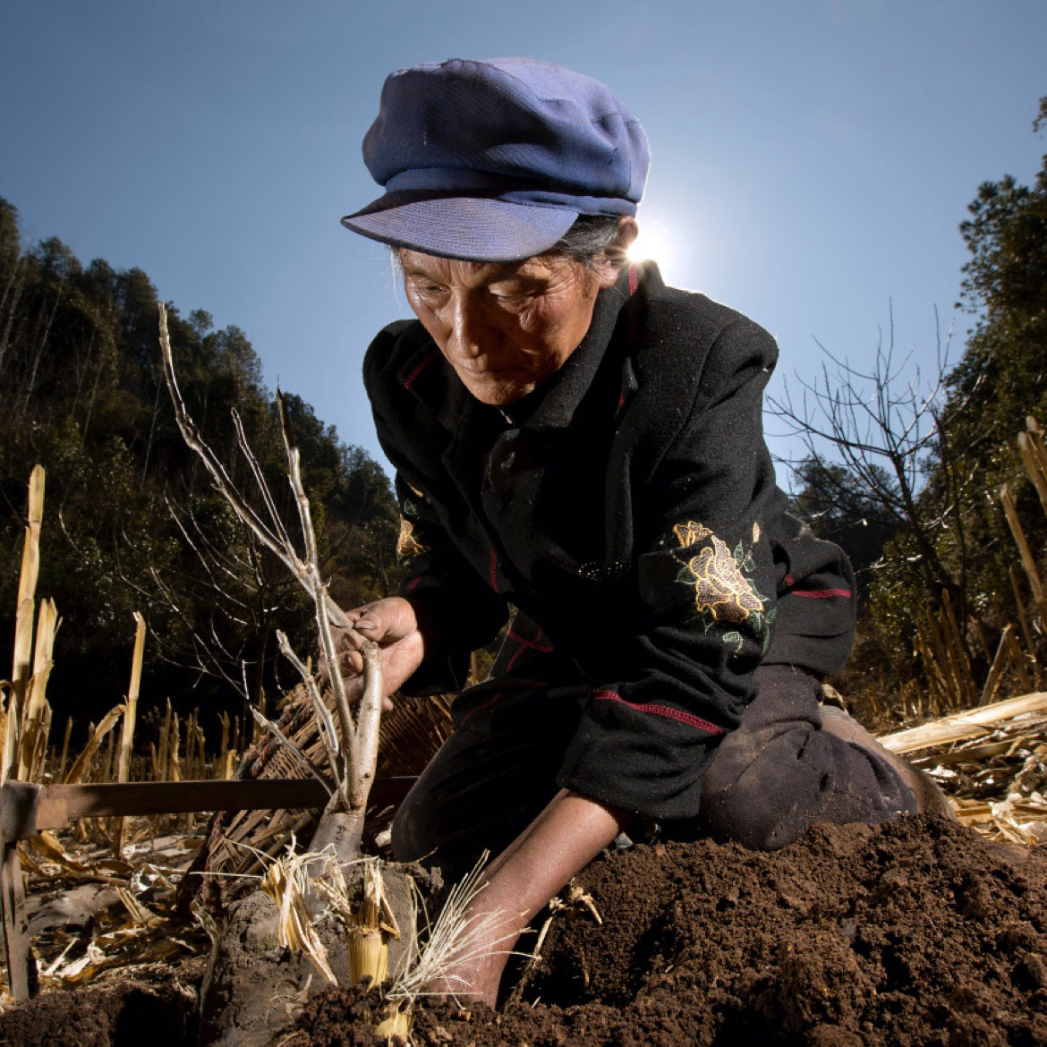 i nostri impegni a sostegno della biodiversità