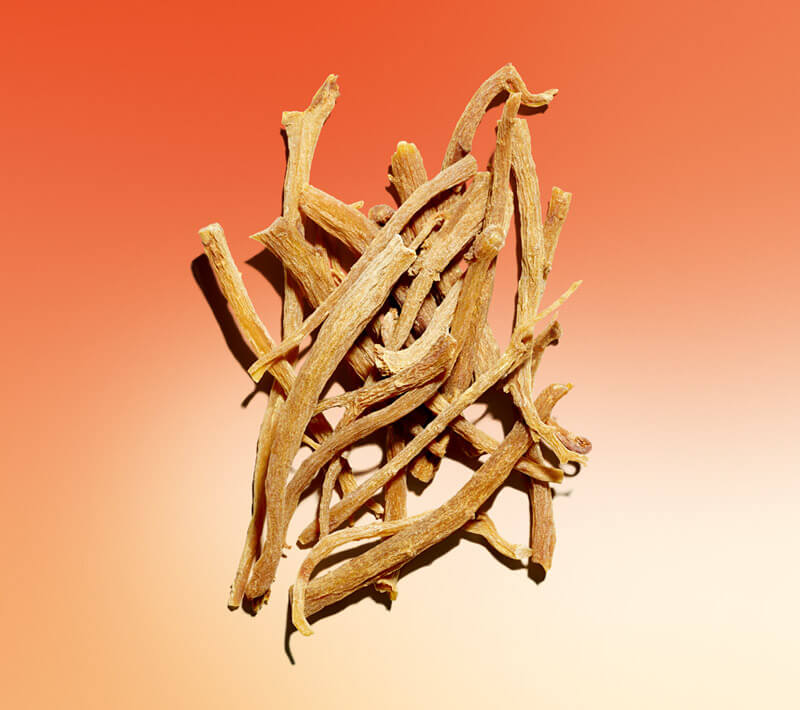 Quali sono le proprietà del ginseng rosso?