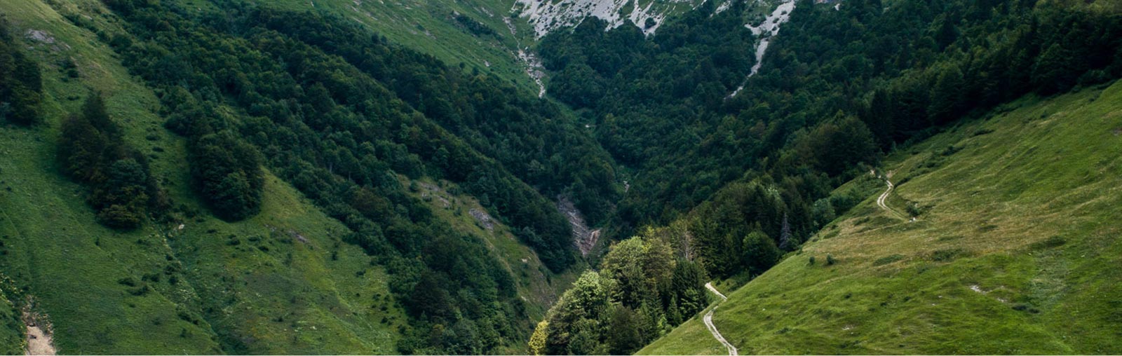 immagine della tenuta Clarins