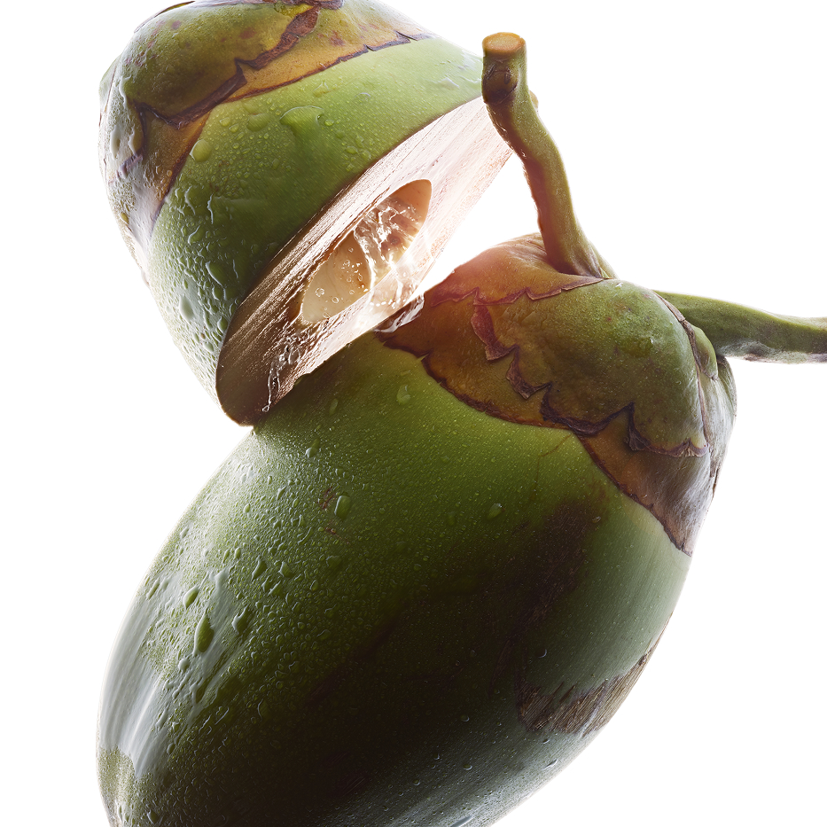 Albero del cocco-Acqua di cocco bio-Cocos nucifera (coconut) fruit juice