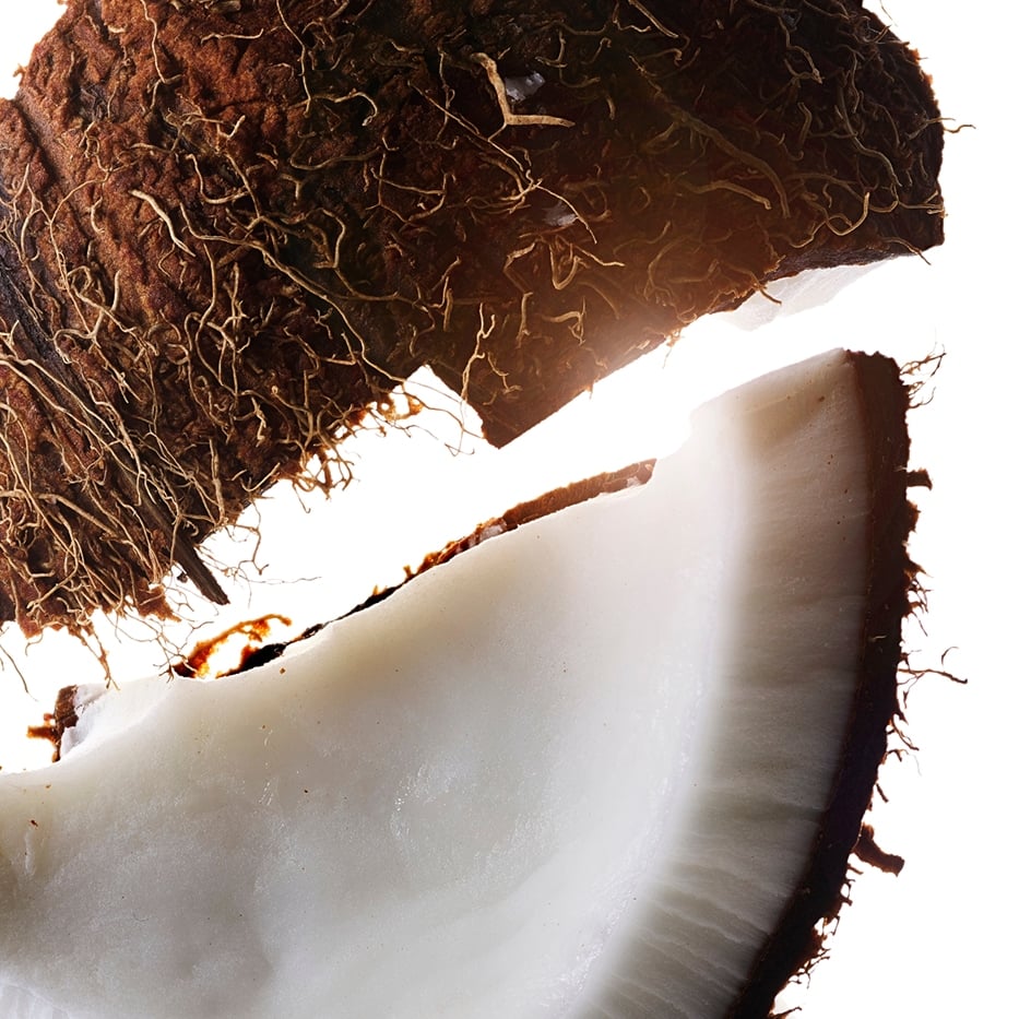 Albero del cocco-Olio di noce di cocco-Cocos nucifera (Coconut) oil