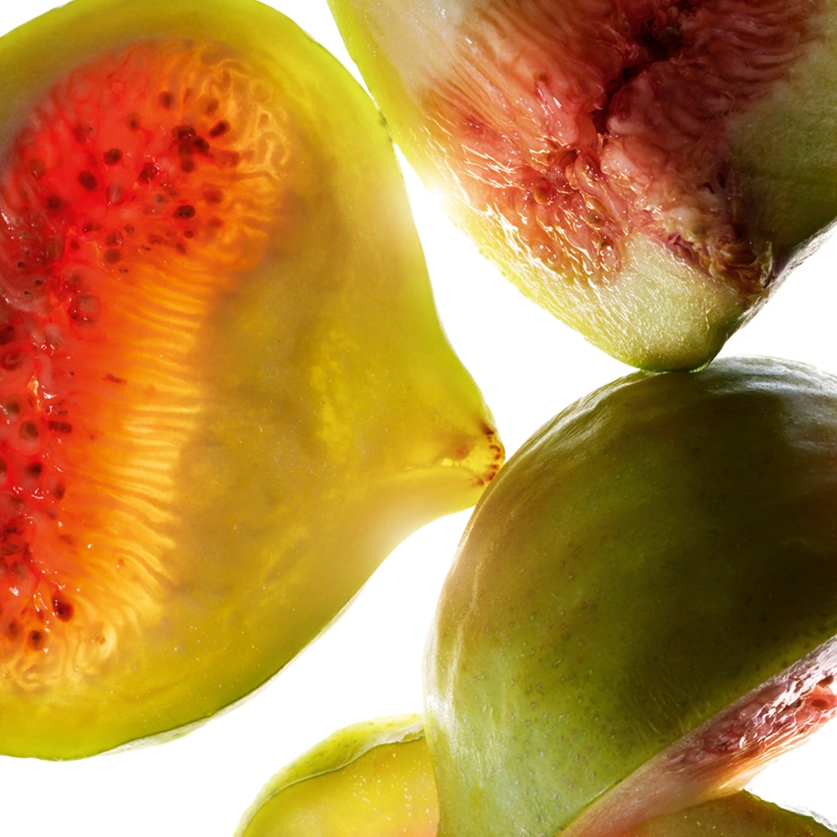 Fico-Estratto di fico-Ficus carica (fig) fruit extract