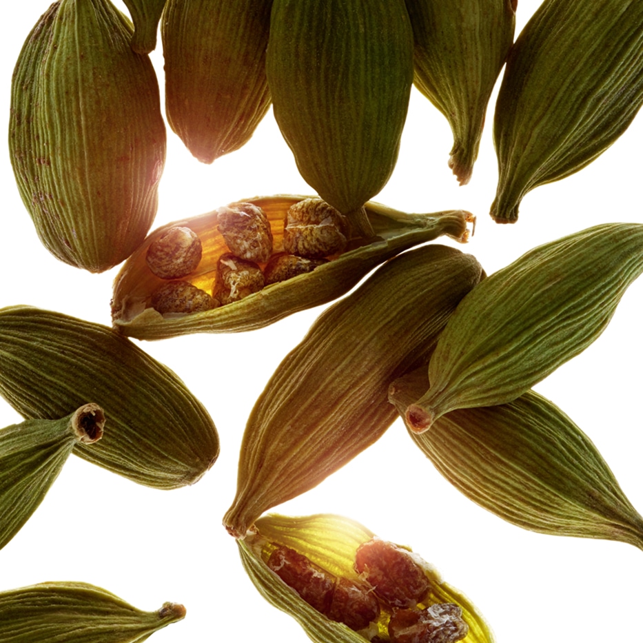 Cardamomo-Olio essenziale di cardamomo-Elettaria cardamomum seed oil