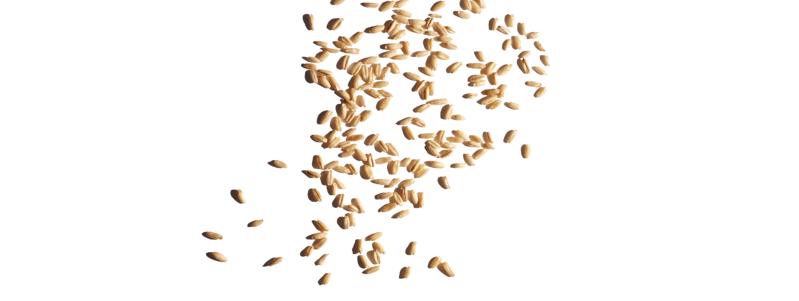 Organic oat sugars