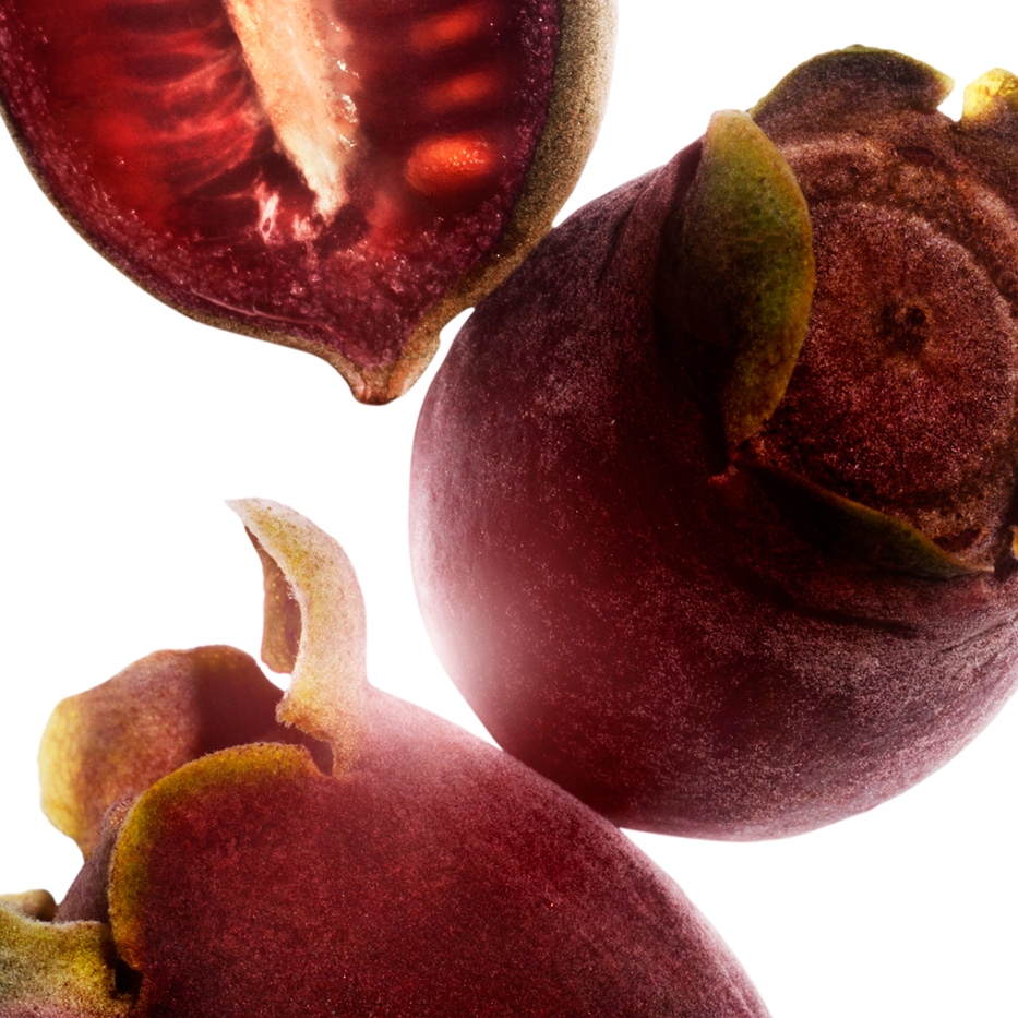 Rose-Myrtle-Estratto di rose-myrtle-Rhodomyrtus tomentosa fruit extract