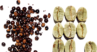 Estratto di guaranà biologico & caffeina vegetale