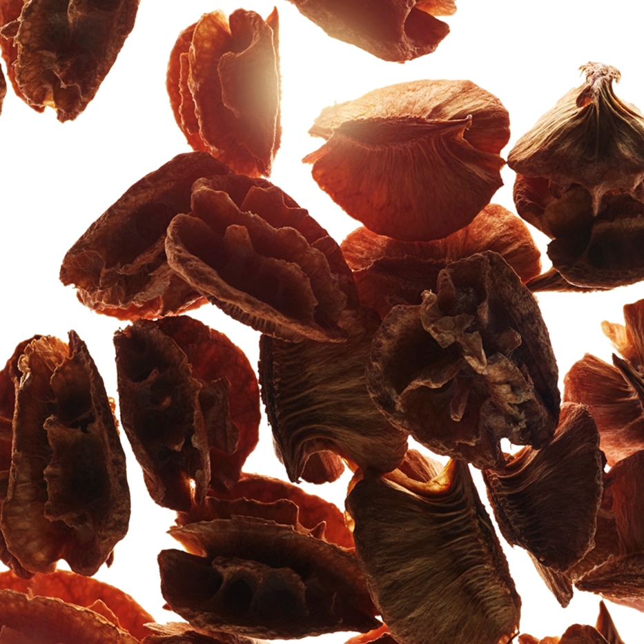 Acerola-Estratto di semi di acerola-Malpighia emarginata (acerola)