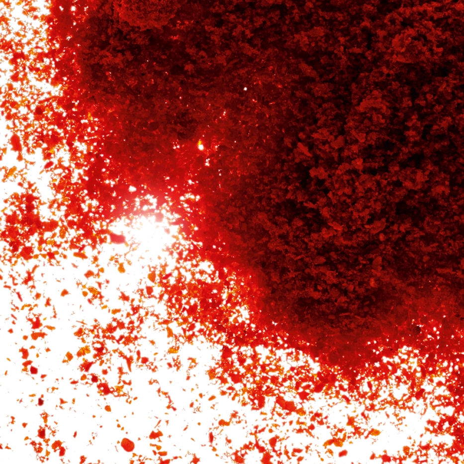 Paprika-Estratto di paprika-Capsicum annuum fruit extract