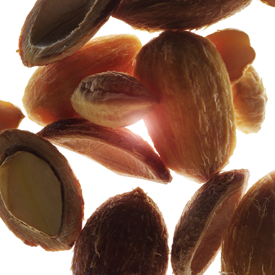 Dattero del deserto-Estratto di dattero del deserto bio-Balanites roxburghii seed oil