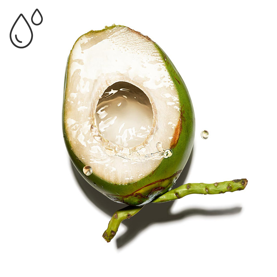 Albero del cocco-Acqua di cocco bio-Cocos nucifera (coconut) fruit juice