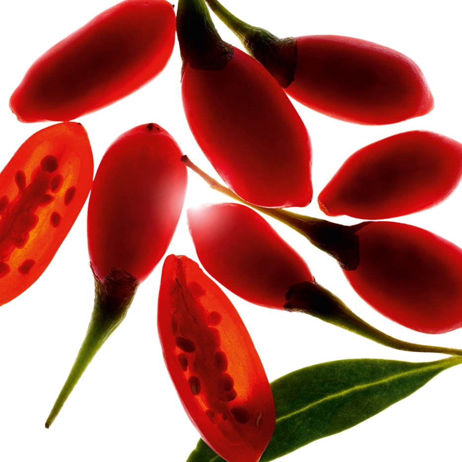 Goji-Estratto di bacca di goji bio-Lycium barbarum fruit extract