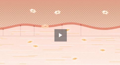 Video scientifico