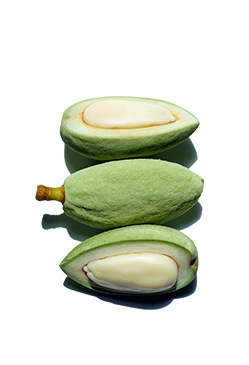 Mandorla nutriente