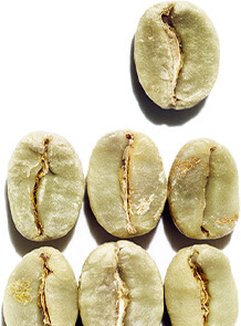Caffeina