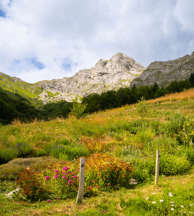 Azienda agricola del Domaine Clarins