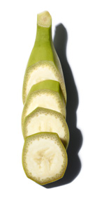 Banano Musa Sapientum