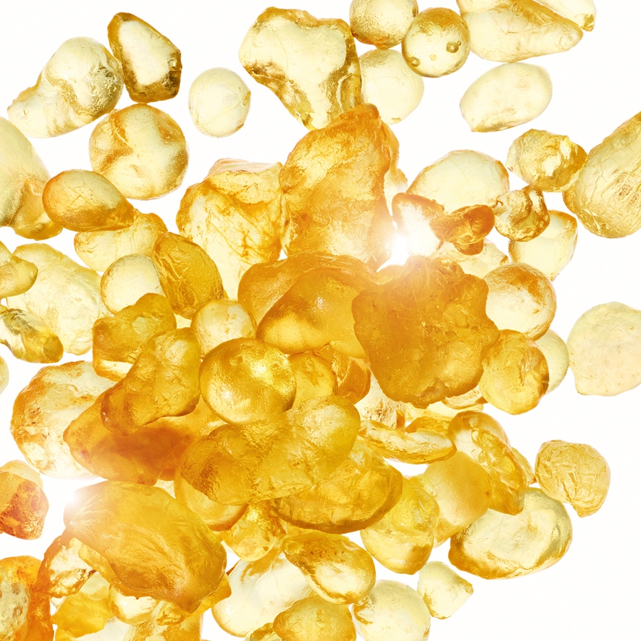 Lentisco-Estratto di mastice-Pistacia lentiscus (mastic) gum