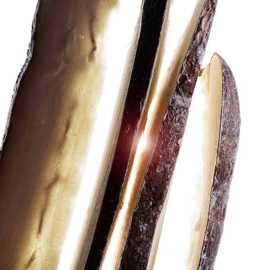 Manioca-Polvere di manioca bio-Tapioca starch