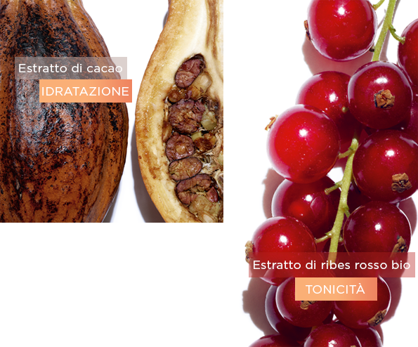 Ingrediente cacao and Ingrediente ribes rosso